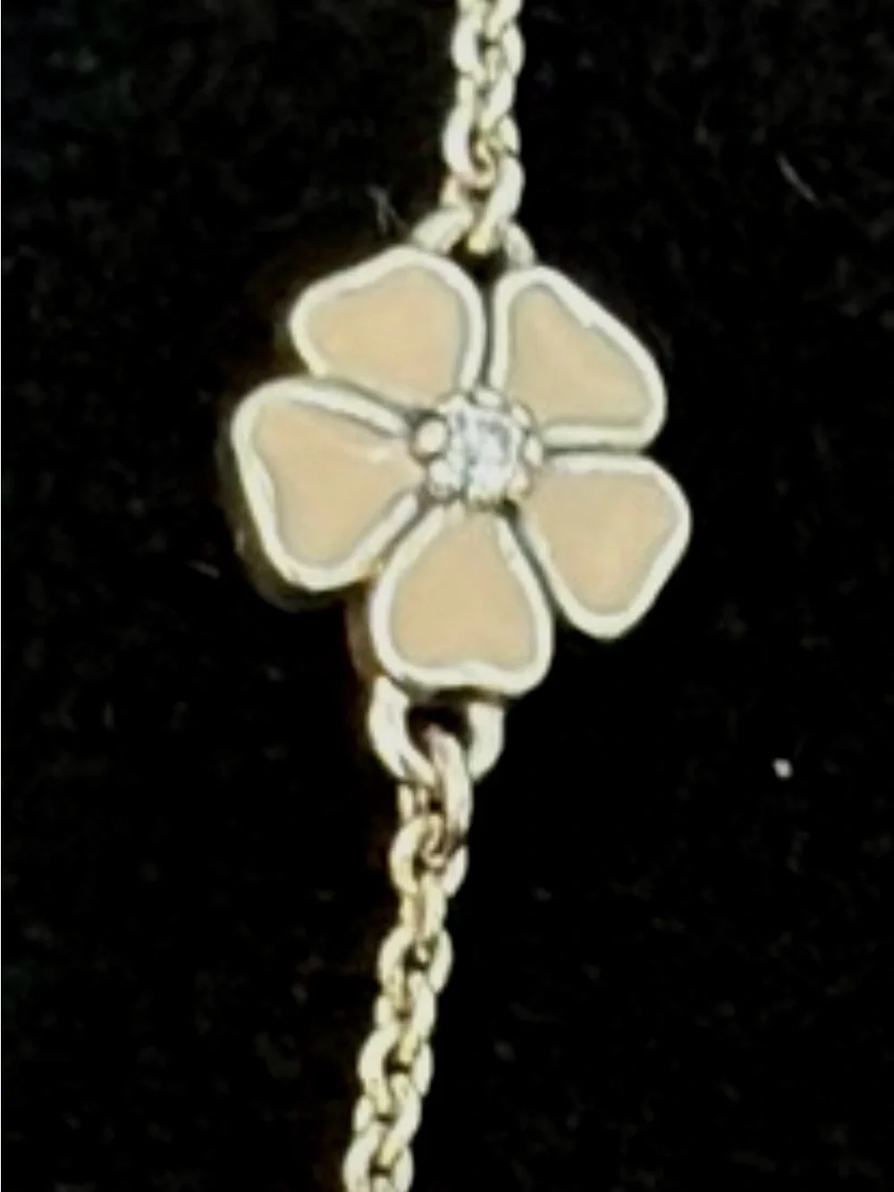 Pandora Sterling 925 Silver Poetic Blooms Bolo Necklace 590518ENMX-.22